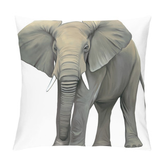 Personality  Big Adult Asian Elephant Pillow Covers