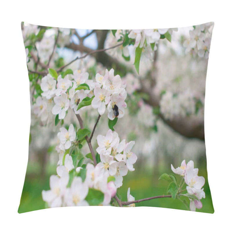 Personality  Blossoming Apple Trees pillow covers