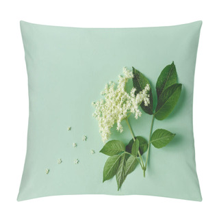 Personality  Elderflower Blossom Flower With Leaves On Light Green Background  Pillow Covers