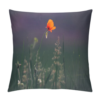 Personality  Beautiful Poppies Pillow Covers