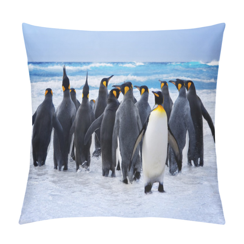 Personality  King Penguins Pillow Covers