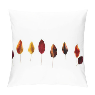Personality  Row Of Colored Dark Autumn Leaves  Pillow Covers