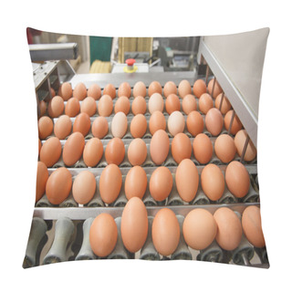 Personality  Automated Sorting Of Raw And Fresh Chicken Eggs Pillow Covers