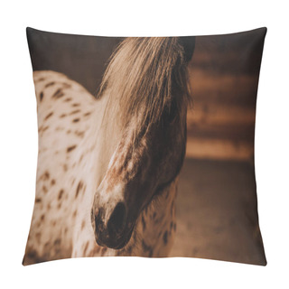 Personality  Selective Focus Of Beautiful Pony In Standing Stall At Zoo Pillow Covers