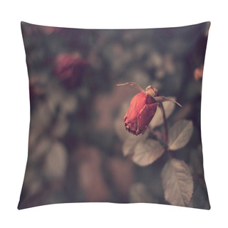 Personality  Dead Red Roses In Winter Pillow Covers