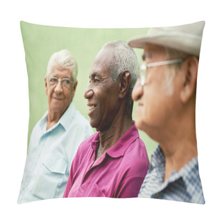 Personality  Group Of Old Black And Caucasian Men Talking In Park Pillow Covers