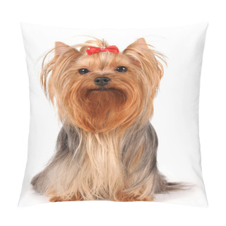 Personality  Yorkshire Terrier Sits On White Background Pillow Covers