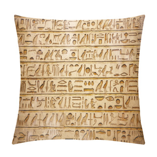Personality  Old Egypt Hieroglyphs Pillow Covers