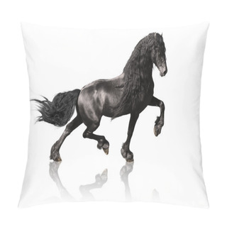 Personality  Black Friesian Horse Isolated On White Pillow Covers
