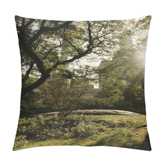 Personality  Green Trees In Sunshine In Urban Park Of New York City Pillow Covers