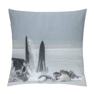 Personality  Humpback Whales Above Water Surface Pillow Covers