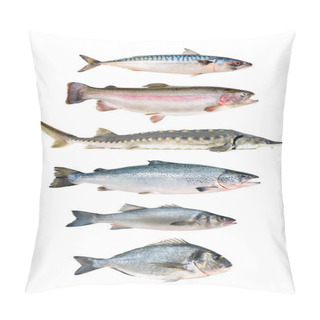 Personality  Fish Collection Pillow Covers