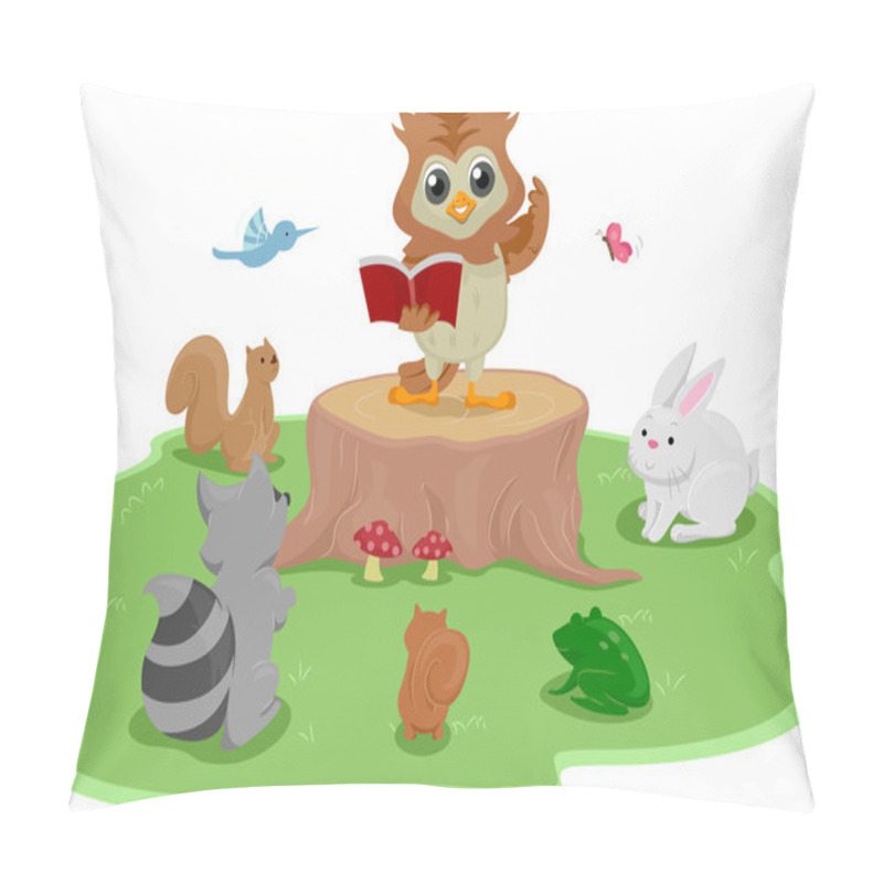 Personality  Reading Owl pillow covers