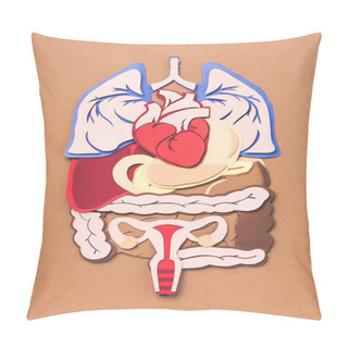 Personality  Top View Of Female Internal Organs On Brown  Pillow Covers