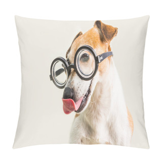 Personality  Adorable Licking Dog Jack Russell Terrier In Glasses. Grey Background. Fool Around Pillow Covers