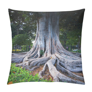 Personality  Close-up Of Huge Tree Roots Pillow Covers