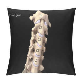 Personality  Cervical Spine With Arteries Pillow Covers
