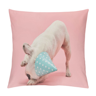 Personality  French Bulldog With Head Down In Blue Birthday Cap On Pink Background Pillow Covers