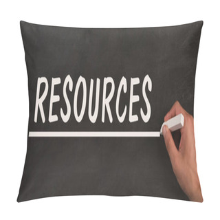 Personality  Resources Is Standing On A Chalkboard, Network, Support Of A Team, Environmental Challenge, Information And Strategy Concept Pillow Covers