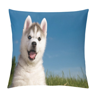 Personality  Siberian Husky Dog Puppy Pillow Covers