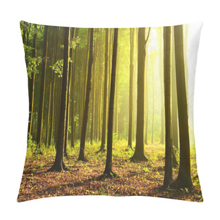 Personality  Sunny Morning In The Forest Pillow Covers