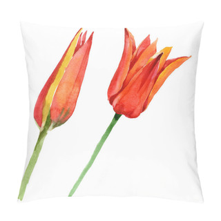 Personality  Orange Tulip Floral Botanical Flowers. Watercolor Background Illustration Set. Isolated Tulips Illustration Element. Pillow Covers