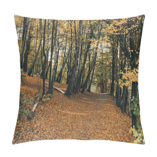 Personality  Fallen Leaves On Pathway In Autumn Forest Pillow Covers