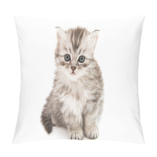 Personality  Little Fluffy Kitten Isolated  Pillow Covers