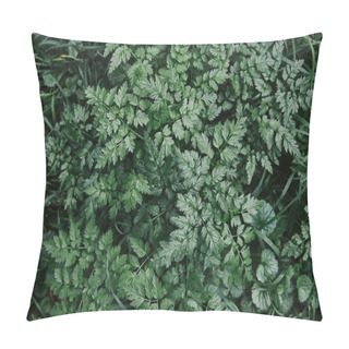 Personality  Elevated View Of Green Plants And Grass In Garden Pillow Covers