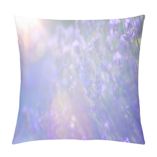 Personality  Abstract Summer Floral Landscape; Beautiful Summer Lavender Flower Against Evening Sunny Sky; Nature Landscape Abstract Background. Pillow Covers
