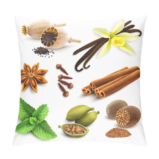 Personality  Herbs And Spices Set Pillow Covers