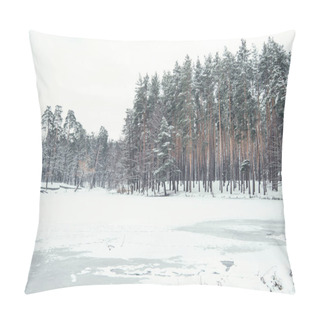 Personality  Frozen Pond And Trees In Snowy Forest Pillow Covers