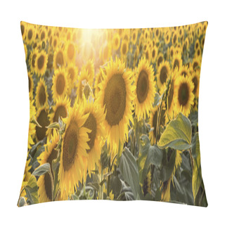 Personality  Sunflowers In The Field  Pillow Covers