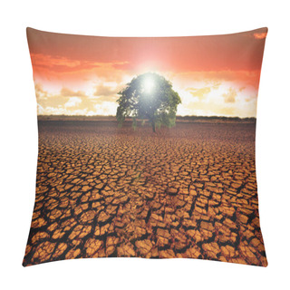 Personality  Barren Desert Land With A Single Green Tree In The Middle And A Beautiful Sunrise  Pillow Covers