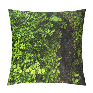 Personality  Watercress Plants Of Acores Archipelago Pillow Covers