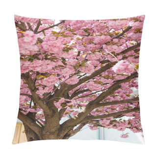 Personality  Pink Flowers On Branches Of Blossoming Cherry Tree In Park Pillow Covers