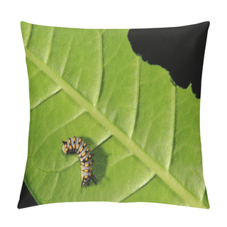 Personality  Cute Caterpillar Pillow Covers