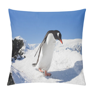 Personality  Penguin On The Rocks Pillow Covers
