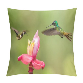 Personality  Two Hummingbirds Hovering Next To Pink Flower,tropical Forest, Colombia, Bird Sucking Nectar From Blossom In Garden,beautiful Hummingbird With Outstretched Wings,nature Wildlife Scene, Exotic Trip Pillow Covers