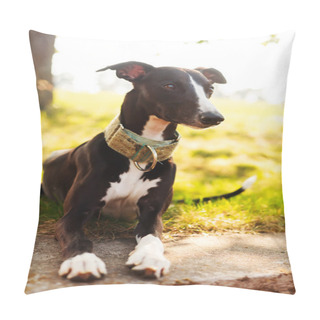 Personality  Whippet In The Garden Pillow Covers