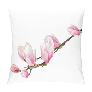 Personality  Magnolia Flower Branch On A White Background Pillow Covers