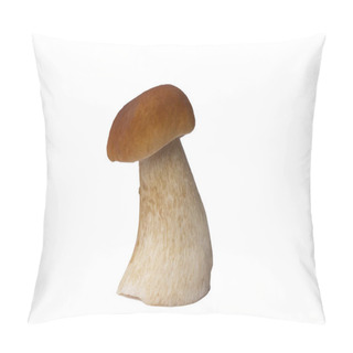 Personality  Brown Boletus Mushroom Isolated On White Background. Pillow Covers