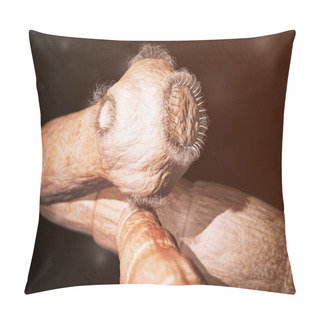 Personality  Detailed Tapeworm Under The Microscope-- 3d Rendering Pillow Covers