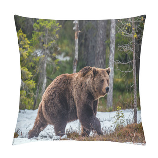 Personality  Wild Brown Bear In The Spring Forest. European Brown Bear ( Ursus Arctos ) Pillow Covers