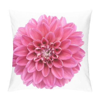 Personality  Pink Dahlia Isolated Pillow Covers