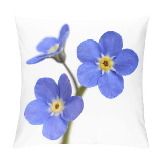 Personality  Forget-me-not Victoria Blue Flower Isolated On White Pillow Covers