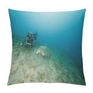 Personality  Green Turtle And An Underwater Photographer Pillow Covers