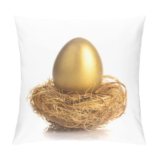 Personality  Golden Egg In Nest Pillow Covers