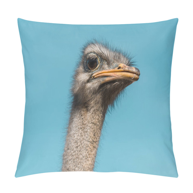Personality  Portrait Of Beautiful Ostrich Against Clear Blue Sky Pillow Covers