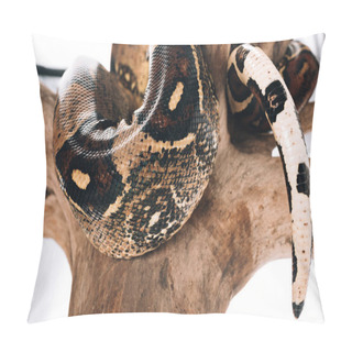 Personality  Close Up View Of Textured Snakeskin Of Python On Wooden Log On White Background Pillow Covers